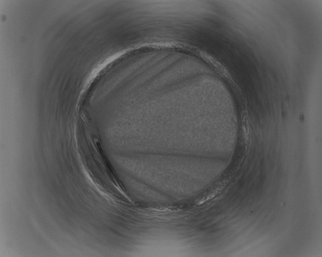 X0000081360728200702020139