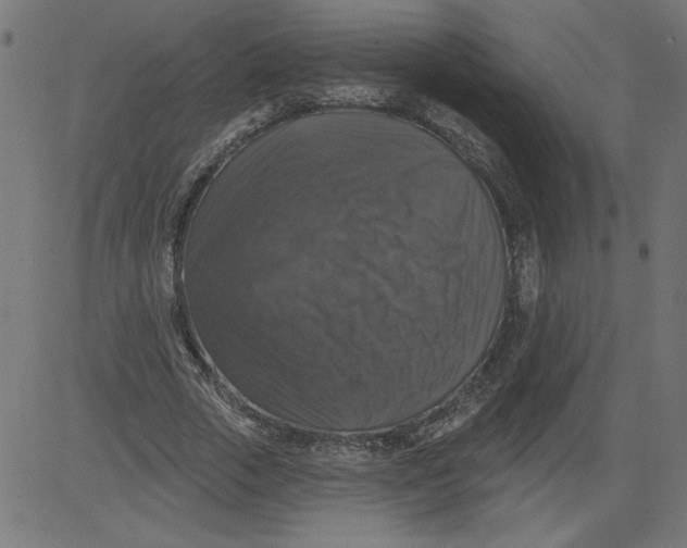 X0000081360729200702020139