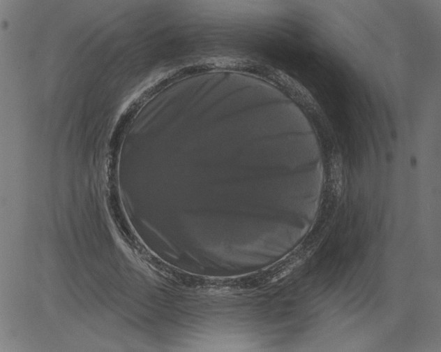 X0000081360730200702020139