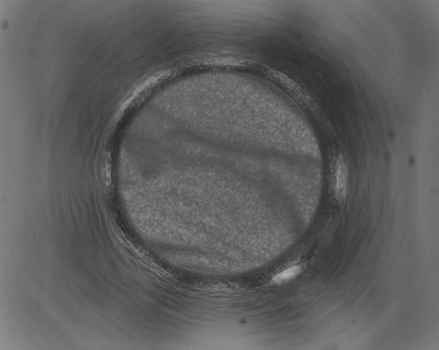 X0000081360731200702020139