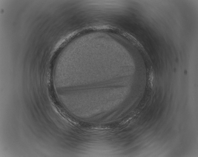 X0000081360732200702020139