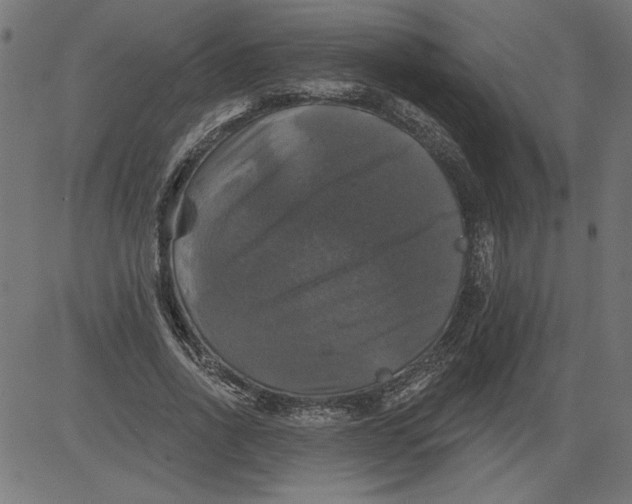 X0000081360734200702020139