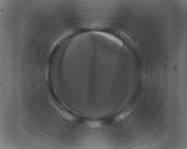 X0000081360735200702020139