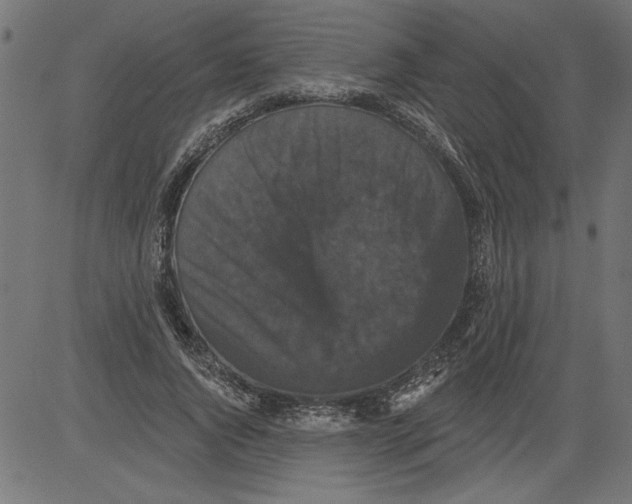 X0000081360736200702020139