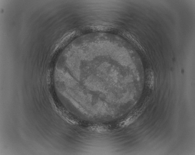 X0000081360738200702020139