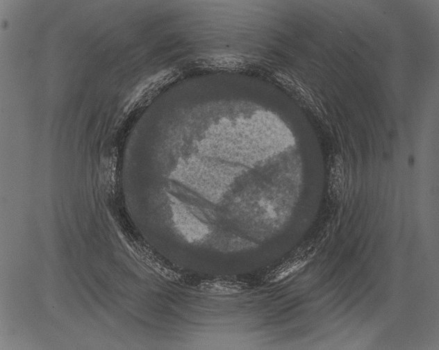 X0000081360739200702020139