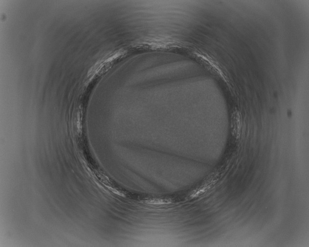 X0000081360740200702020139