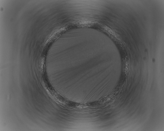 X0000081360742200702020139