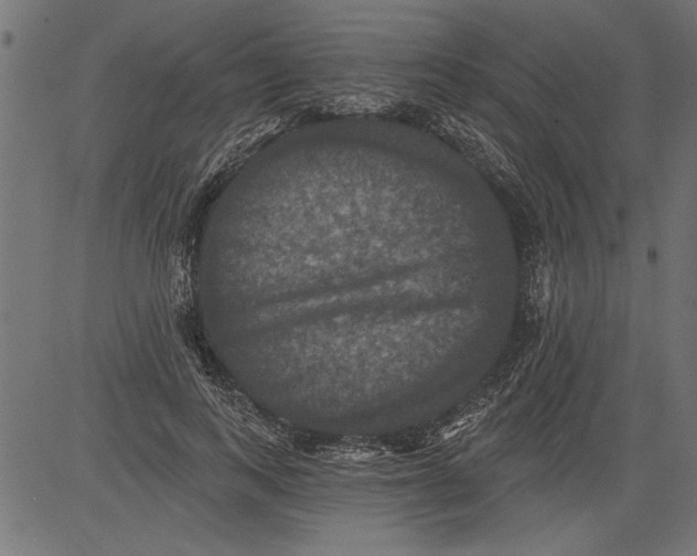 X0000081360743200702020139