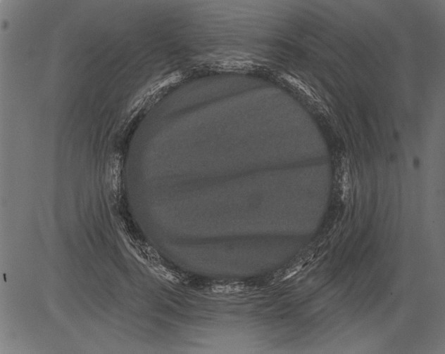 X0000081360744200702020139