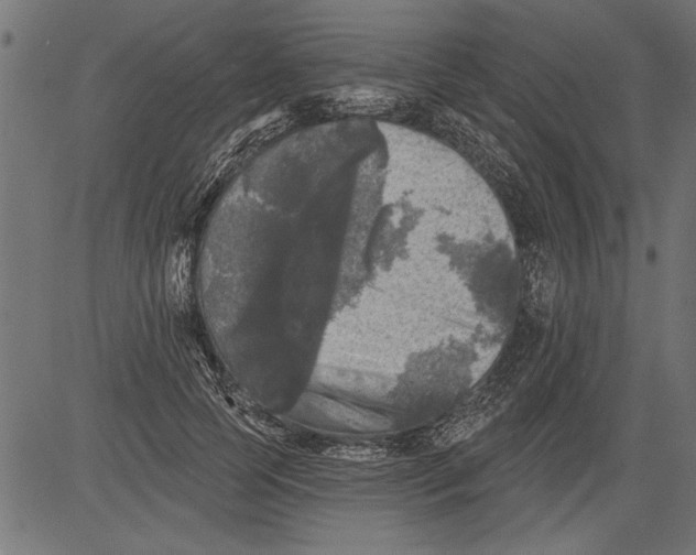 X0000081360745200702020139