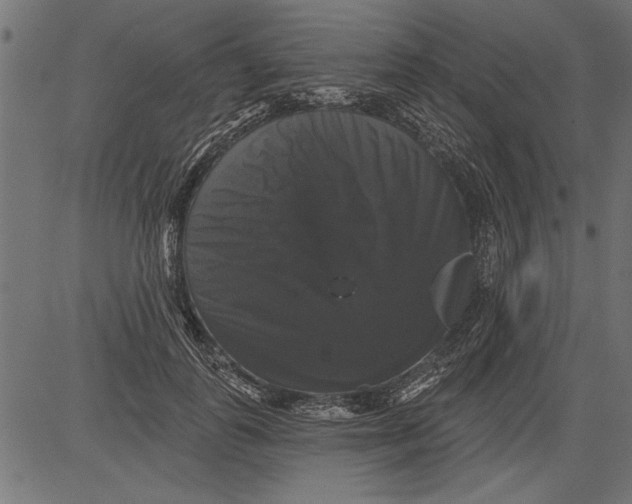 X0000081360747200702020140