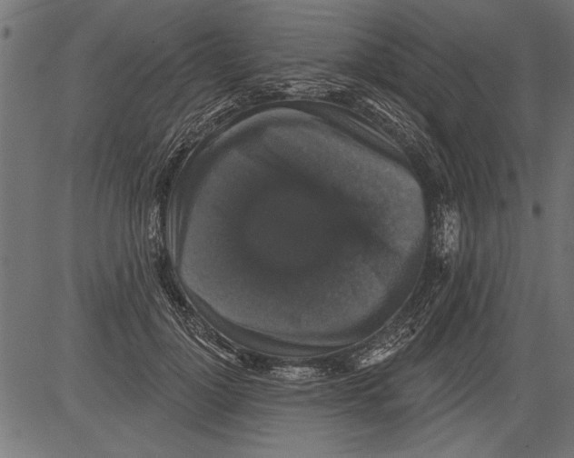 X0000081360748200702020140