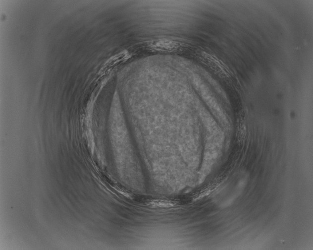 X0000081360749200702020140