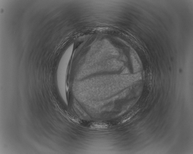 X0000081360750200702020140