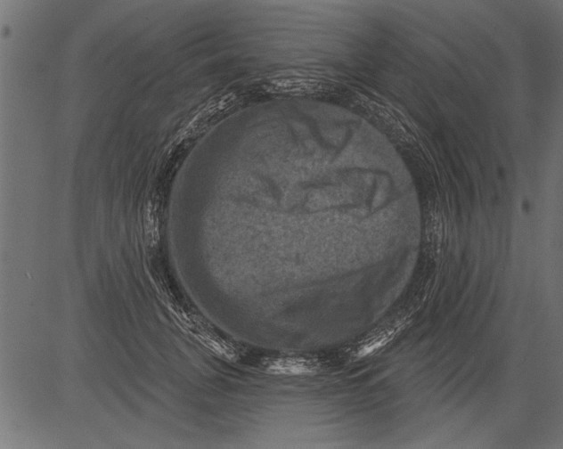 X0000081360751200702020140