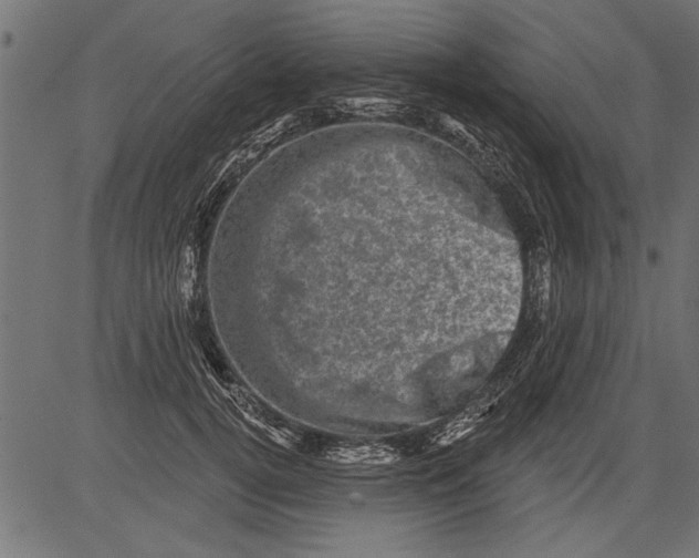 X0000081360752200702020140