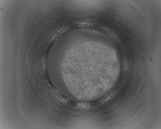 X0000081360753200702020140