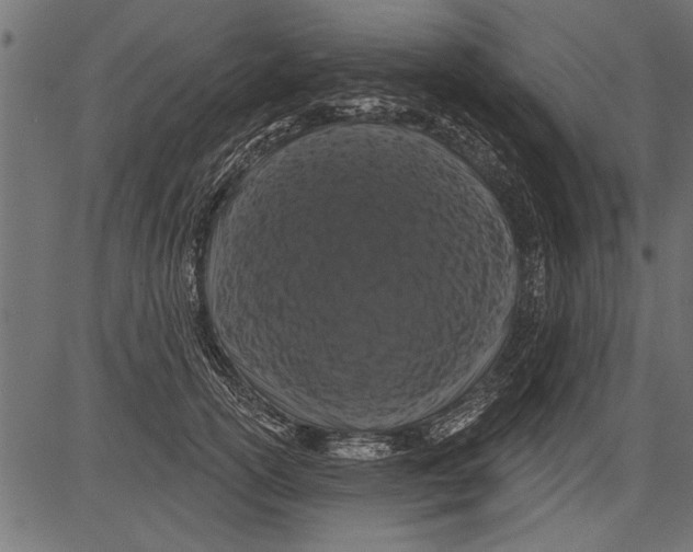 X0000081360754200702020140