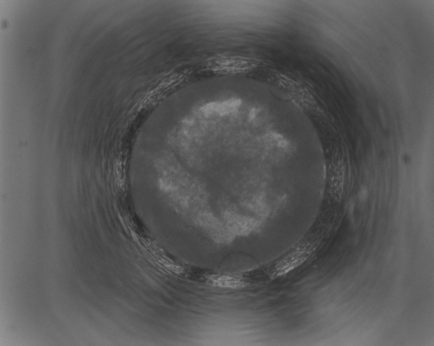 X0000081360755200702020140