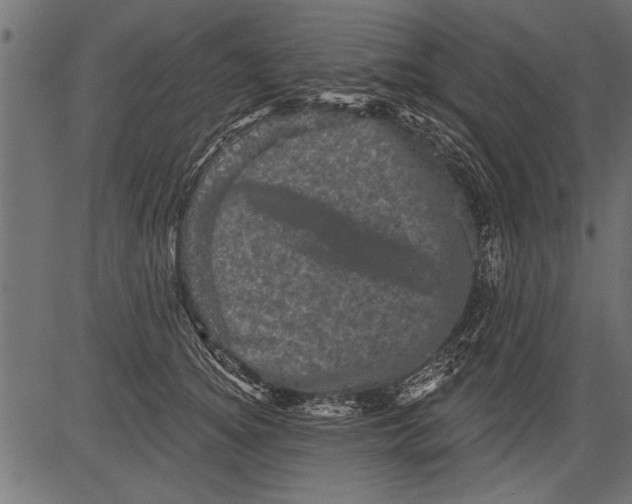 X0000081360756200702020140