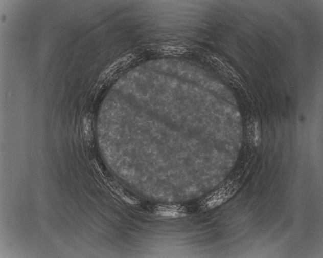 X0000081360757200702020140