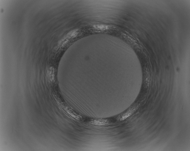 X0000081360758200702020140