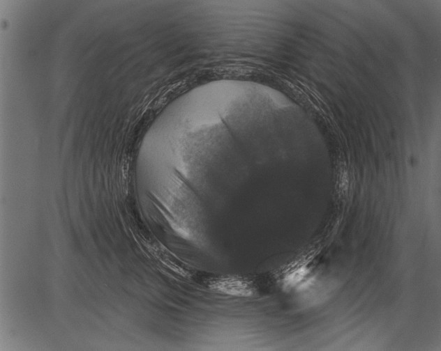 X0000081360759200702020140