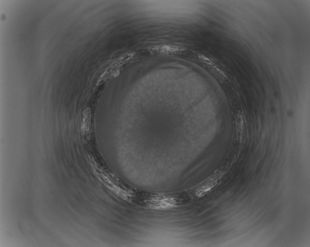 X0000081360760200702020140