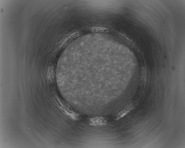 X0000081360761200702020140