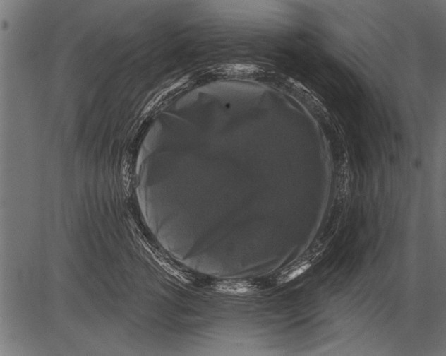 X0000081360762200702020140