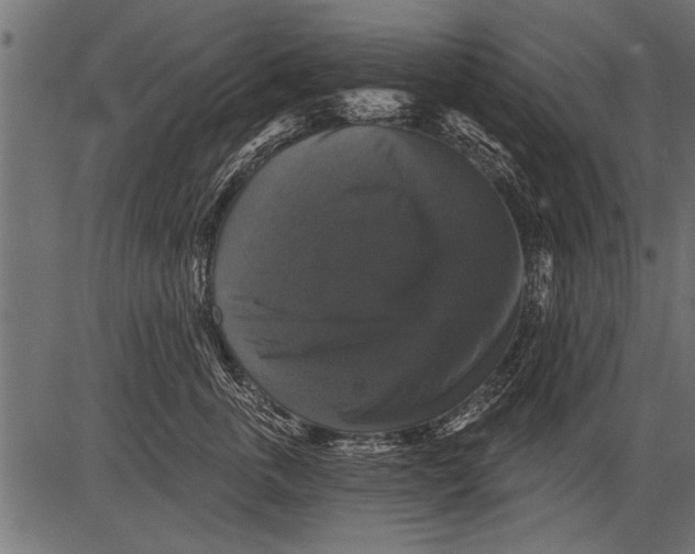 X0000081360763200702020140