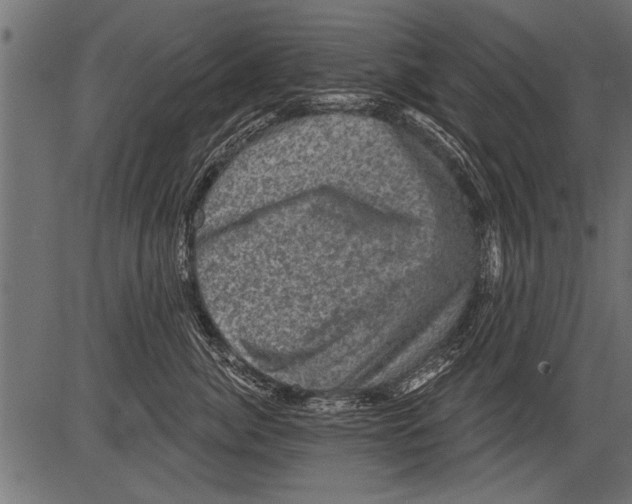 X0000081360764200702020140