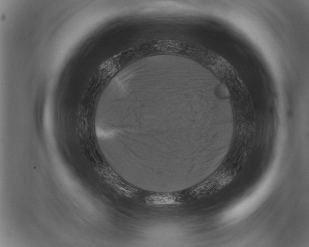 X0000081360765200702020140