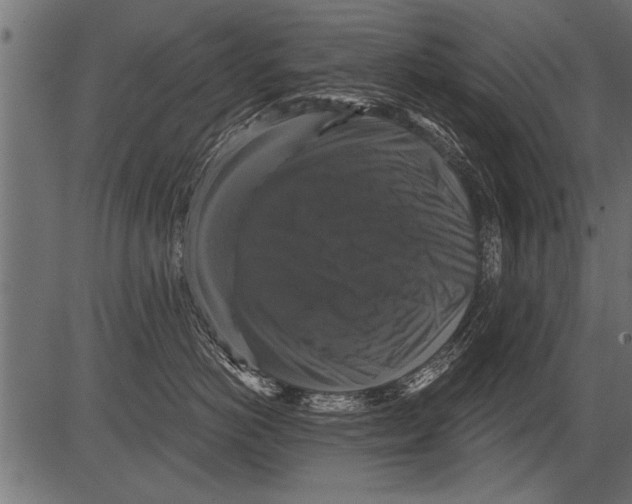 X0000081360766200702020140