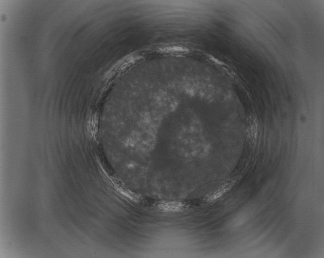 X0000081360767200702020140