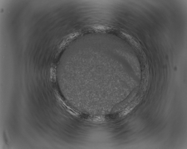 X0000081360768200702020140