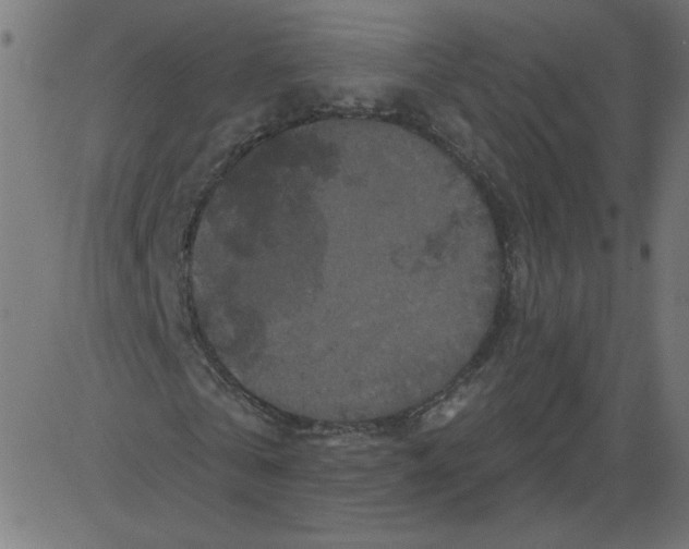 X0000081360769200702020139