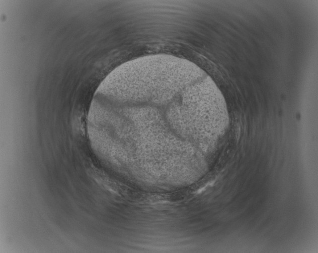 X0000081360770200702020139