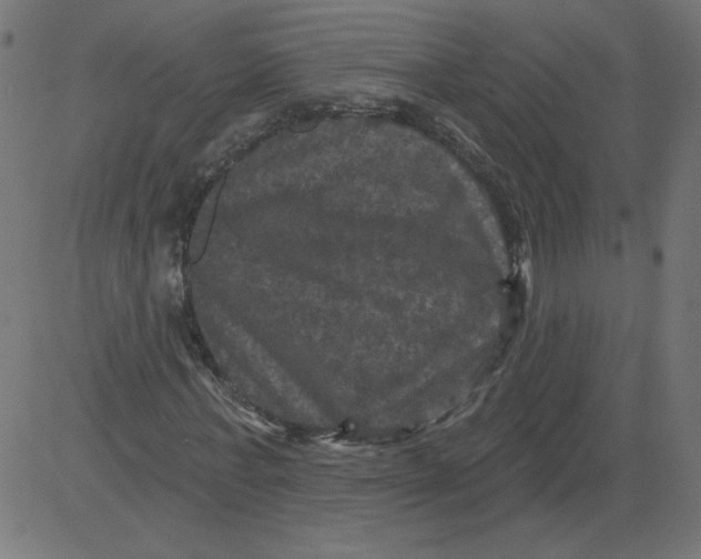 X0000081360771200702020139