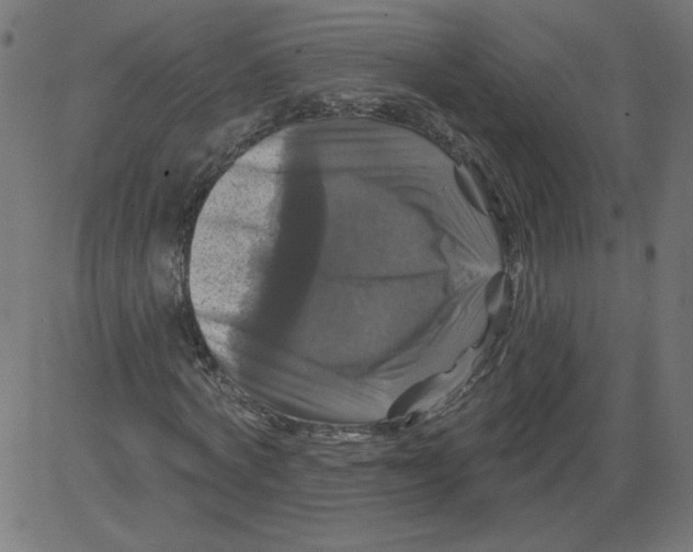 X0000081360772200702020139