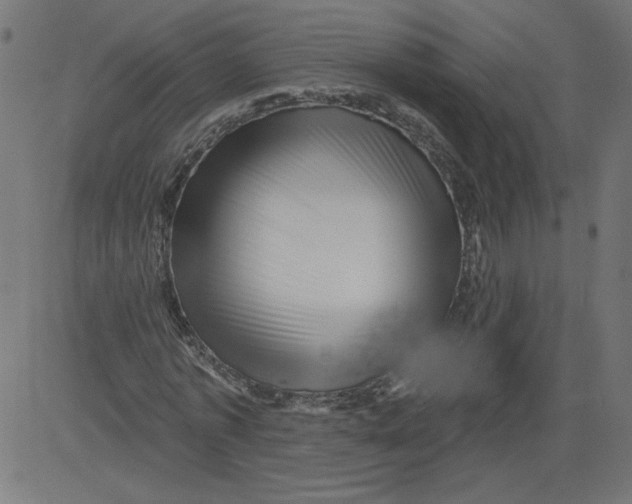 X0000081360773200702020139