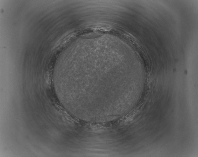 X0000081360774200702020139