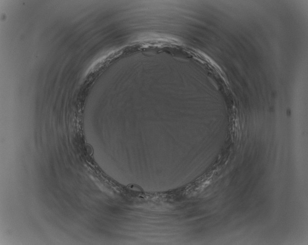 X0000081360775200702020139