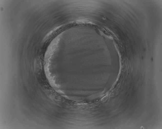 X0000081360776200702020139