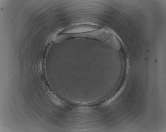 X0000081360777200702020139