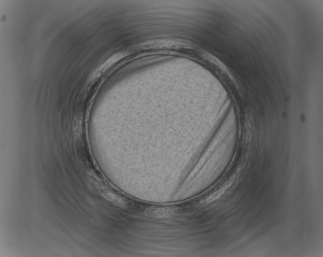 X0000081360778200702020139