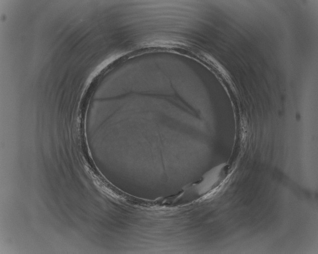 X0000081360779200702020139