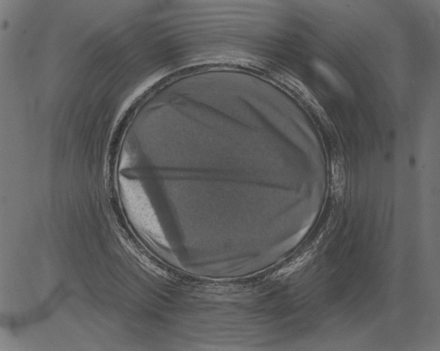 X0000081360780200702020139