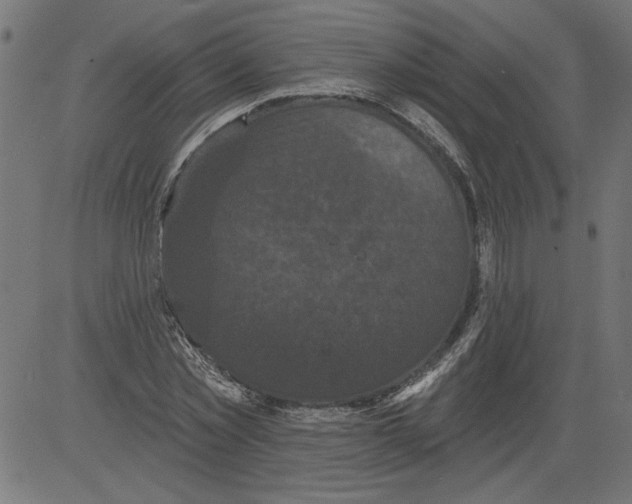 X0000081360781200702020139